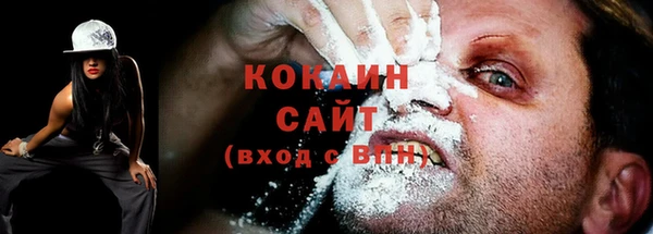 стаф Мензелинск