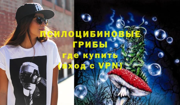 ГАЛЛЮЦИНОГЕННЫЕ ГРИБЫ Елизово