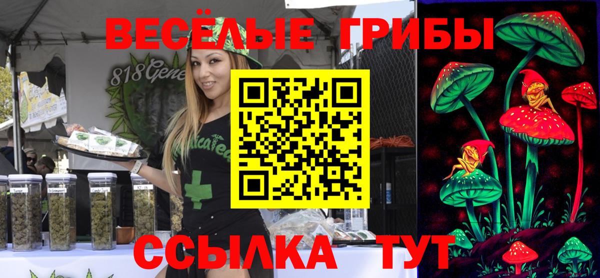 наркота  Вход с VPN  Валуйки  Псилоцибиновые грибы Magic Shrooms  Псилоцибиновые грибы Psilocybine cubensis 