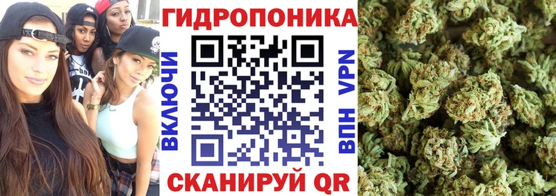 Канабис White Widow  как найти   Валуйки 